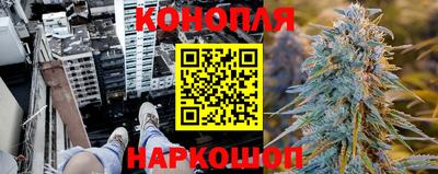 шишки Рыбинск