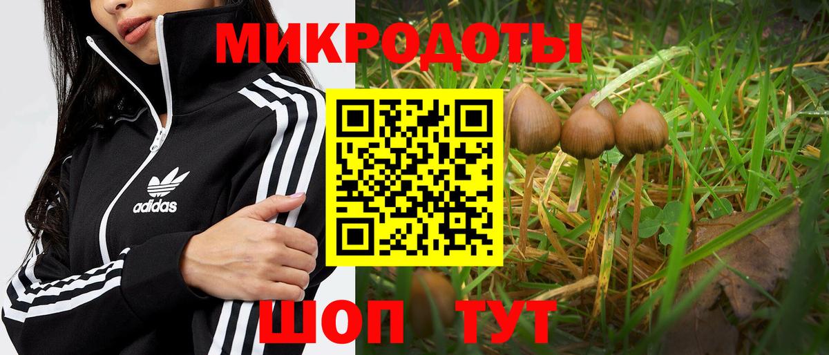 Псилоцибиновые грибы мухоморы  Вход с VPN  Сланцы 