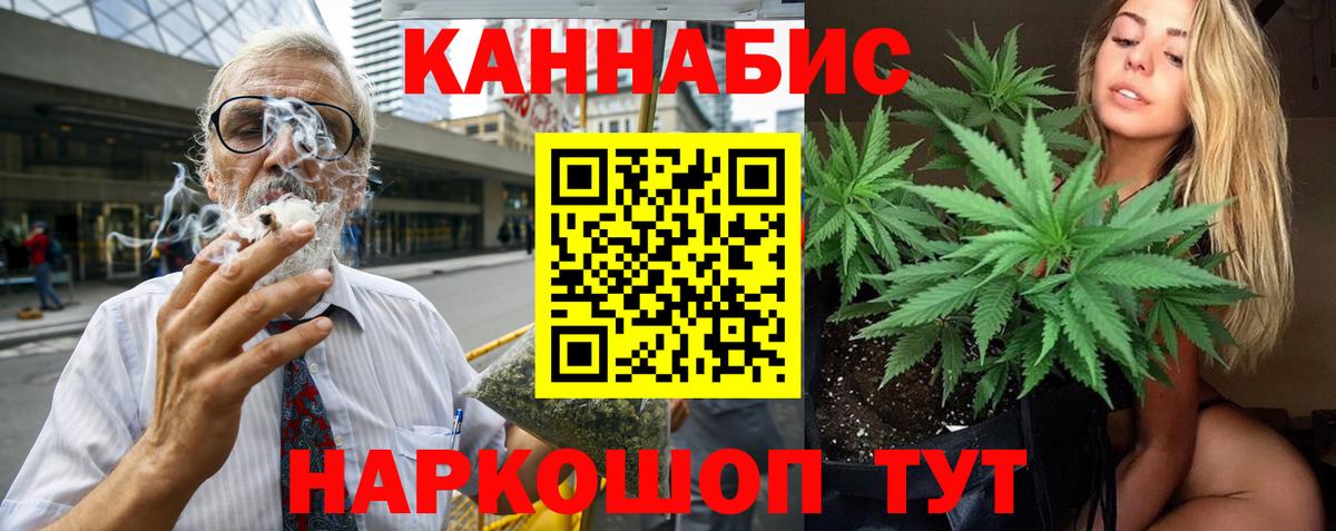 Канабис сатива Сланцы